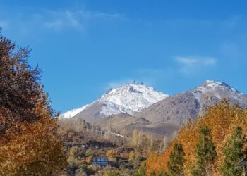 اقدام قضایی یک سازمان مردمنهاد همدان علیه پروژه اجرایی