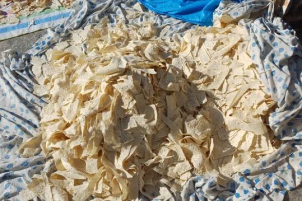 IMG_20251217_215957_920-620x370