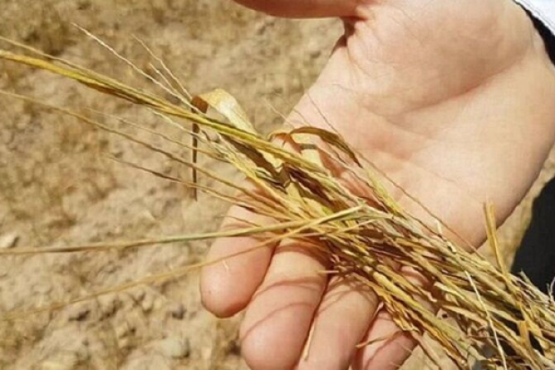 ea88e47c-4cc2-4754-a11e-c3292b872ac5