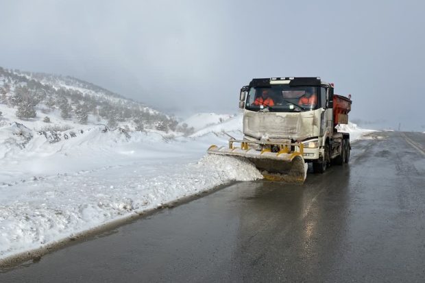 photo_2025-12-19_14-55-04