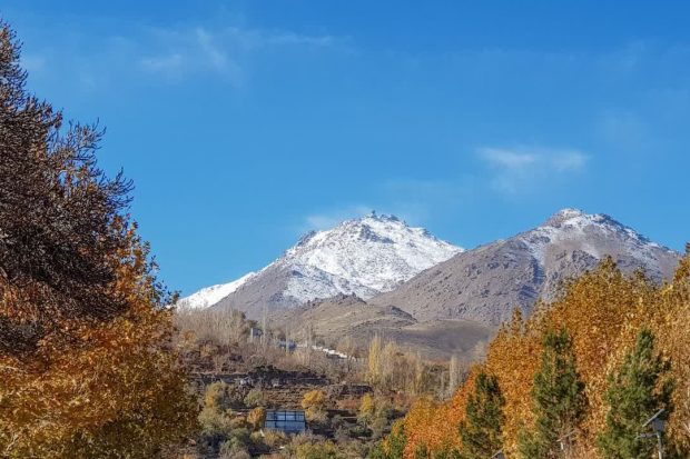 photo_2026-01-05_09-23-58